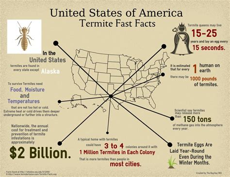 Fast Facts About Termites Infographic The Bug Guy Pest Control Okc
