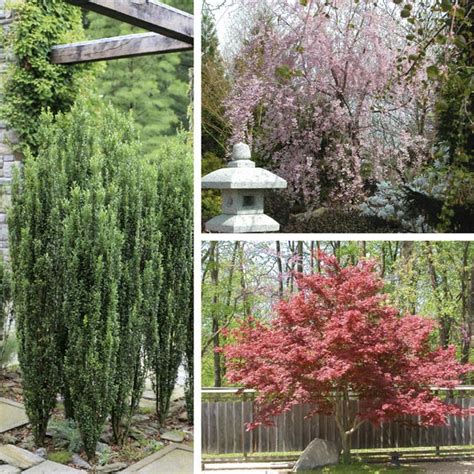 Book is well laid out, making reference very easy. Ornamental Trees | My Garden Life