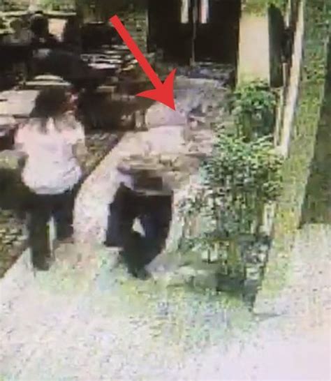 Waiter Falls While Carrying Four Meals Doesnt Drop A Single Plate R