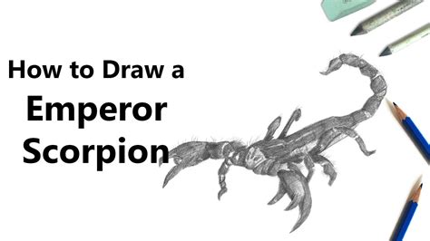 How To Draw An Emperor Scorpion With Pencils Time Lapse Youtube