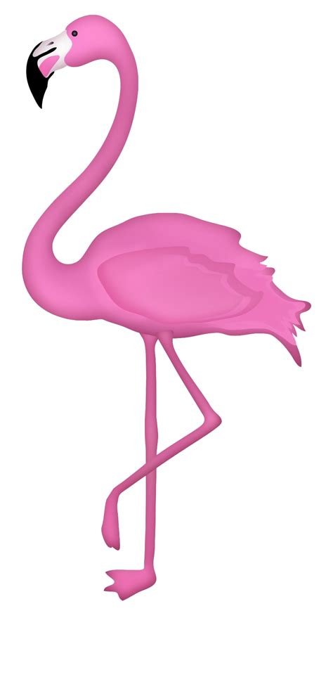 Flamingos Transparent Png Png Play