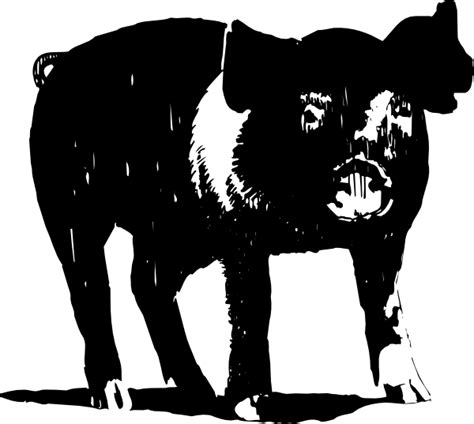 Pigs Clipart Black And White Pigs Black And White Transparent Free For