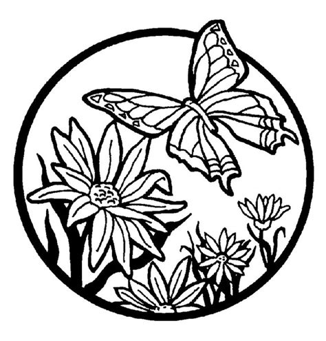 17 Best images about Coloring Pages {Butterflies} on Pinterest