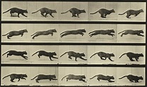 Photography’s Eccentric Genius: Eadweard Muybridge