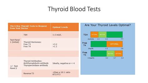 Thyroid Tests And What They Mean Thyroid Test Results Chart