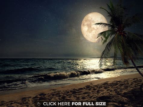 Tropical Night Sky Wallpapers On Wallpaperdog