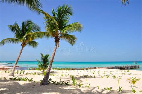 Caribbean Beach, Mexico stock image. Image of hotel, beach - 16417059