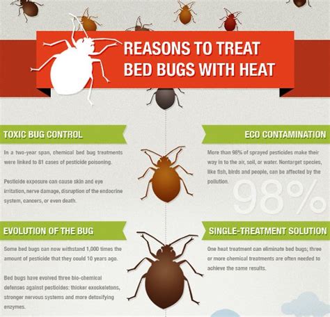 Reasons To Treat Bed Bugs With Heat Infographic