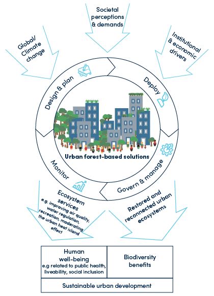 Urban Forest Based Solutions For Resilient Cities Resilience Blog