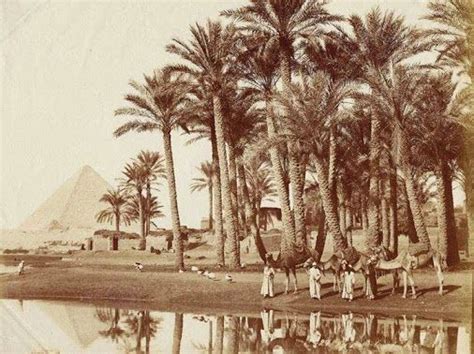 صورة جميلة بمنطقة الاهرامات في أواخر القرن التاسع عشر Old Egypt