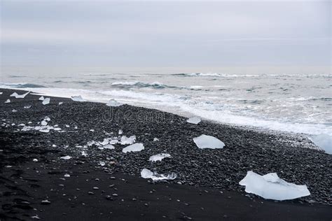Icebergs On Black Volcanic Beach Iceland Stock Image Image Of Cool