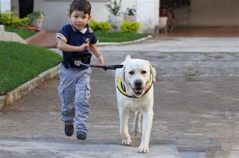 Perros de asistencia ayudan a la autonomía - Prensa Libre