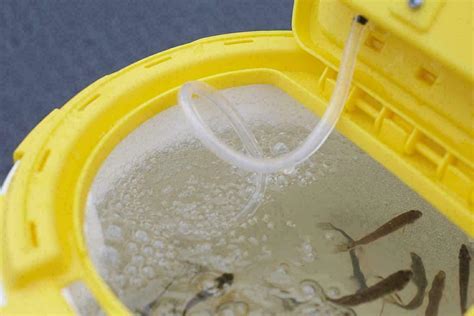 Live Fish Bait Bucket With Aerator Frabill Fishing