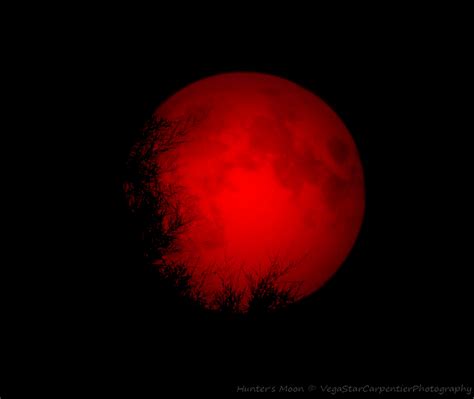 Blood Red Hunters Moon Looms In Night Sky Photo Space