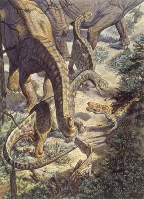 Jobaria And Afrovenator By Mark Hallett Prehistoric Wildlife
