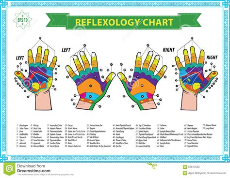 Hand Reflexology Chart Stock Illustration Illustration Of Massaging