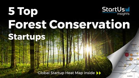 Discover 5 Top Forest Conservation Startups And Scaleups