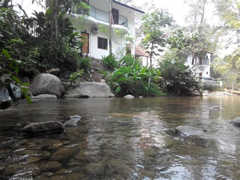 Challet tepi sungai janda baik , kopi ladang , d'tebing challet. 10 Tempat Penginapan & Homestay Menarik Di Janda Baik. Tak ...