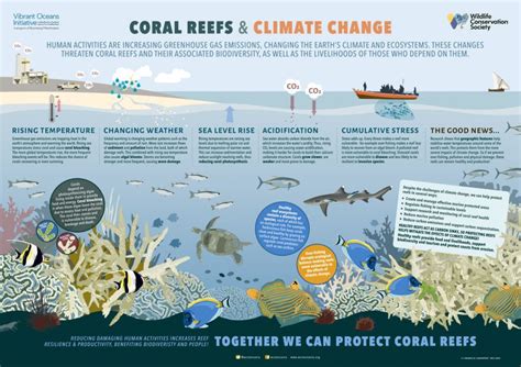 Coral Reefs And Climate Change Wild View