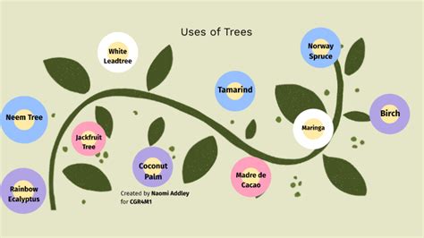 Tree Uses Mind Map By Gnome Addley On Prezi Next