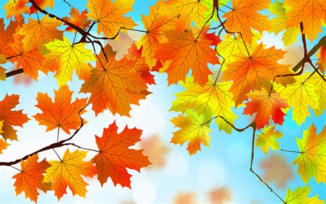 Windows 10 Wallpaper Autumn Mywallpapers Site