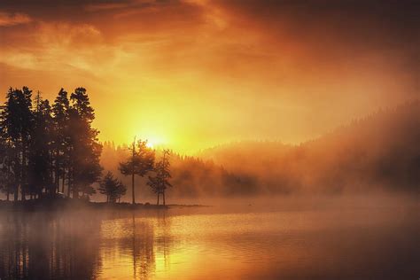 Morning Fog On The Lake Sunrise Shot Pyrography By Valentin Valkov