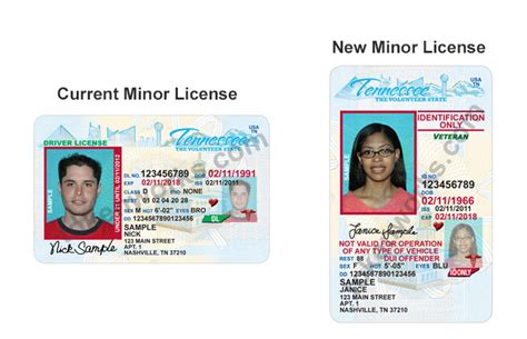 New Tennessee Drivers License Aims To Combat Underage Drinking