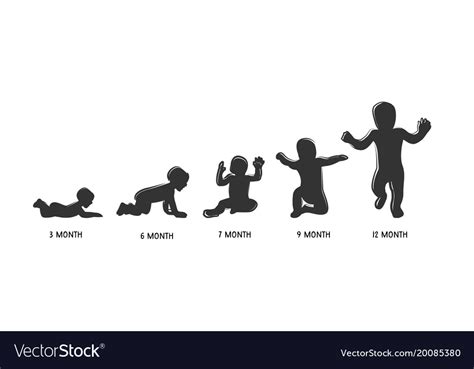 Child Growth Stages