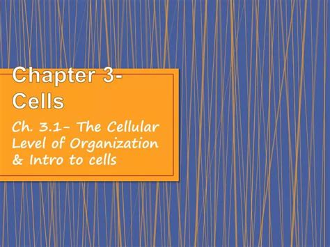 Ppt Chapter 3 Cells Powerpoint Presentation Free Download Id2286205