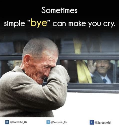 Sometimes Simple Bye Can Make You Cry Vosarcastic Us Us If Asarcasmlol