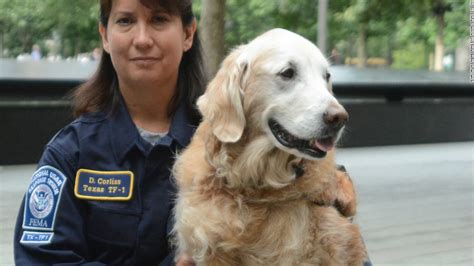 Bretagne The Last 911 Search And Rescue Dog Euthanized Cnn