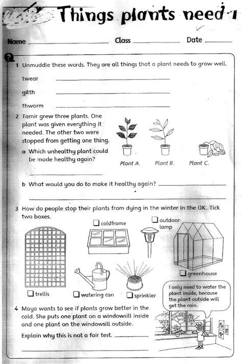 Science worksheets for grade 2. Grade 3 Science Worksheets