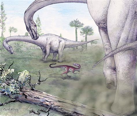 Dinosaurier Dreadnoughtus Schrani Riesen Skelett In Argentinien