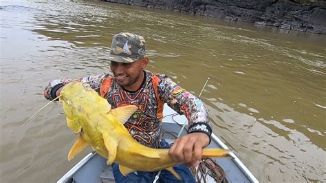 Pesca Inolvidable Captura De Bagre Amarillo Toruno Youtube