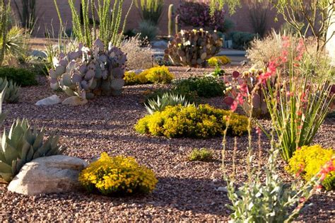 Desert Gardening In The Southwest In 2020 Desert Landscape Design