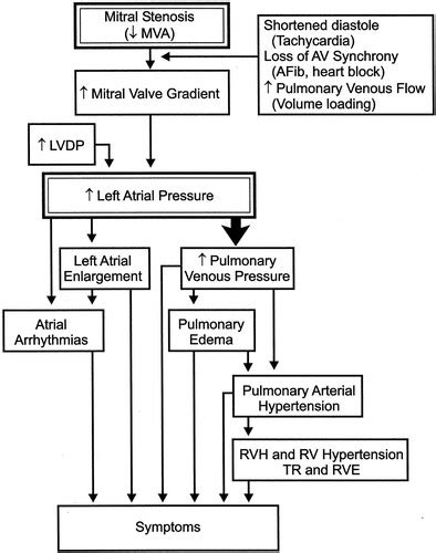 Current Evaluation And Management Of Patients With Mitral Stenosis