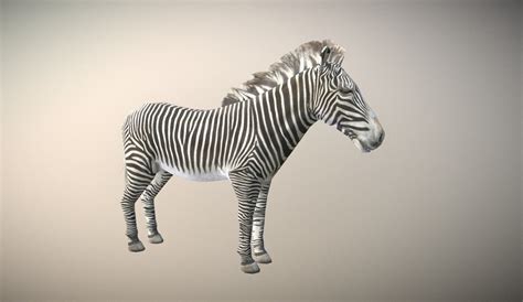 3d Model Zebra Animated Low Poly Vr Ar Low Poly Rigged Animated