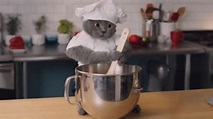 Chefcat Cat Chef GIF - Chefcat CatChef CatKitchen - Discover & Share GIFs