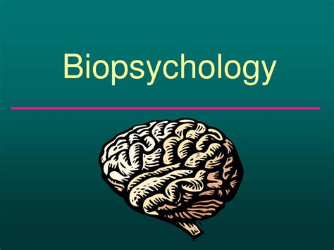 Biopsychology as a neuroscience 1 what is biopsychology, anyway? PPT - Biopsychology PowerPoint Presentation, free download ...