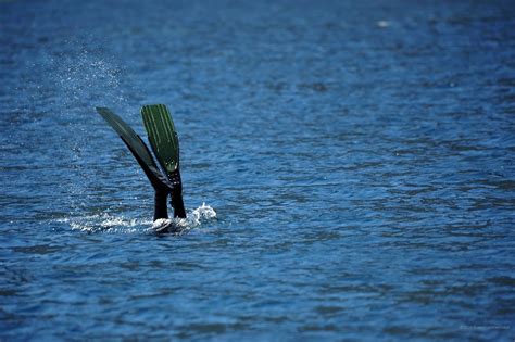 Coole bilder coole hintergrundbilder hd hintergrundbilder. Bakgrundsbilder gratis - fina bakgrundsbilder