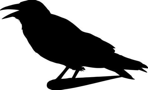 Crow Raven Silhouette Drawing Free Image Download