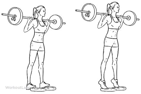Standing Barbell Calf Raise Illustrated Exercise Guide Workoutlabs
