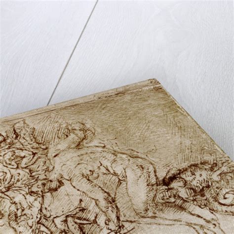 Pen And Ink Sketches Posters And Prints By Leonardo Da Vinci