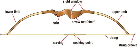 Basic Parts Of An Olympic Recurve Bow