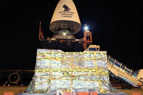 Vaccine singapore | shim clinic. SIA Cargo moves first batch of Covid-19 vaccines to ...