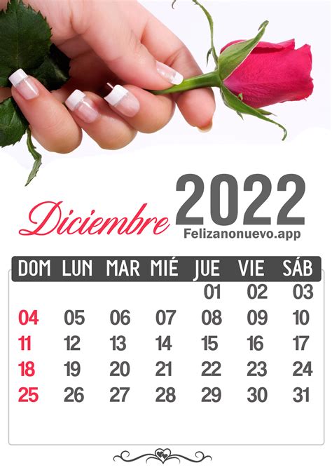 Calendario 2023 Fechas Importantes De Diciembre Translation Imagesee
