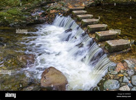 Stepping Stones In The Tollymore Forest Park Stock Photo Alamy