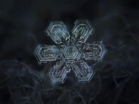 Stunning Macro Details Of Uniquely Beautiful Snowflakes Snowflake