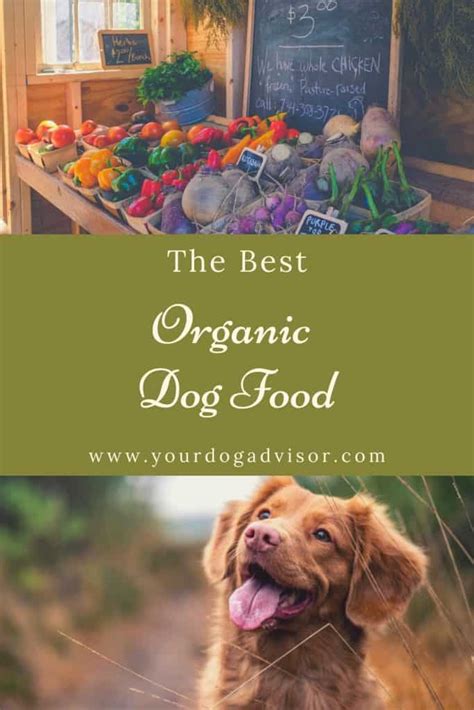 Best Organic Dog Food Brands Your Dog Advisor