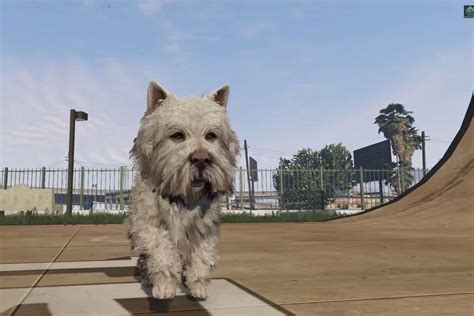Grand Theft Auto 5 How To Play As A Dog In Gta V